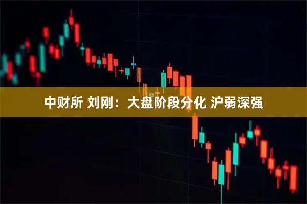 中财所 刘刚：大盘阶段分化 沪弱深强