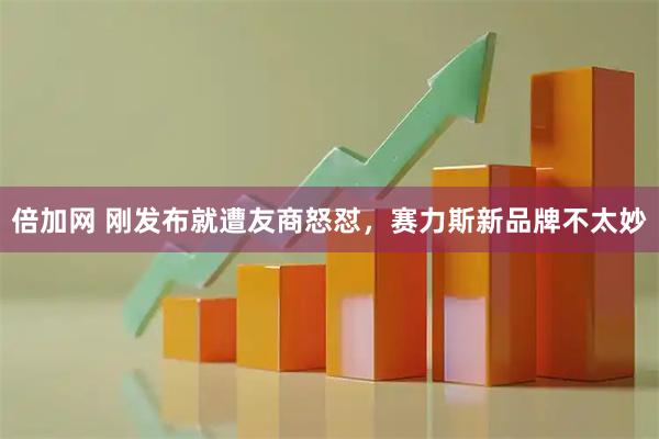 倍加网 刚发布就遭友商怒怼，赛力斯新品牌不太妙